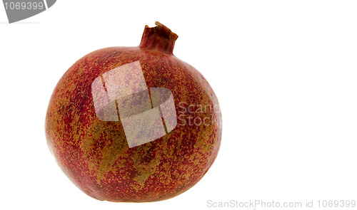 Image of Pomegranate