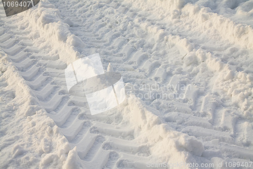 Image of Traces on snow