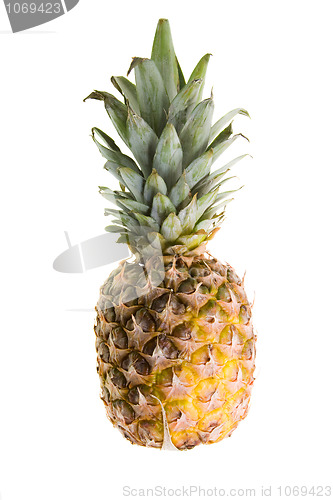 Image of Pineapple