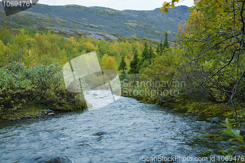 Image of The mountain river