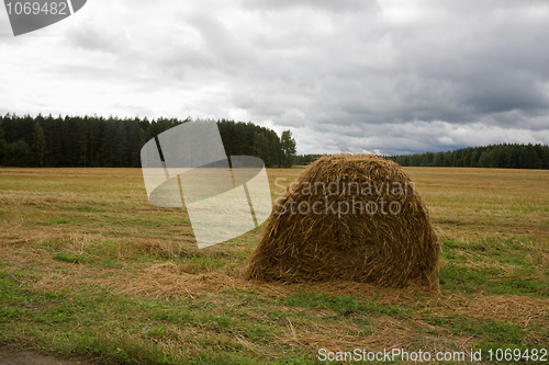 Image of Haystack