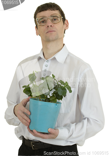 Image of Man in spectacles with window plant in flowerpot