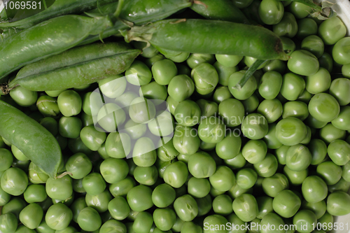 Image of green pea