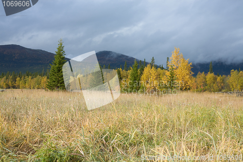 Image of Autumn landscape