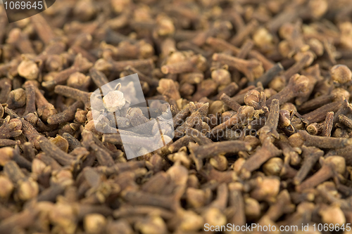 Image of Cloves
