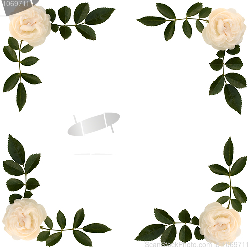 Image of Frame of sprigs  tea-rose