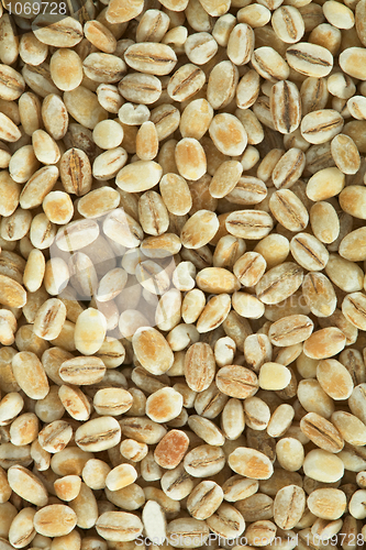 Image of Pearl barley