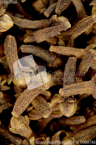 Image of Cloves