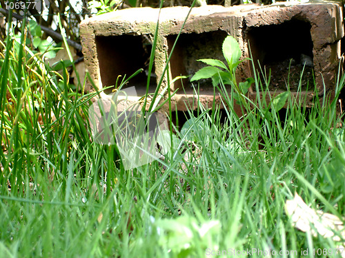 Image of no captionclay brick in the backyard