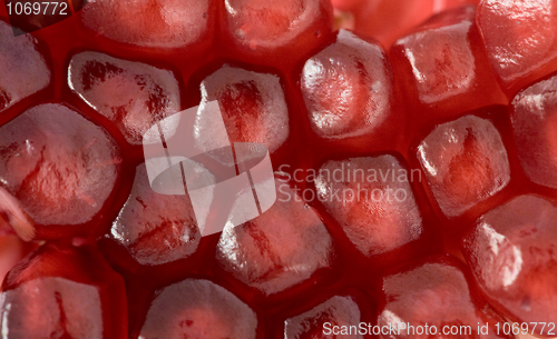 Image of Red grains of pomegranate background