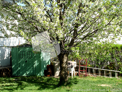 Image of NJ backyard