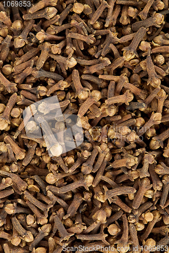 Image of Cloves