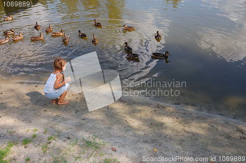 Image of girl feeding ducks