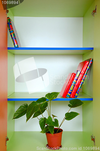 Image of bookcase with books and a plant