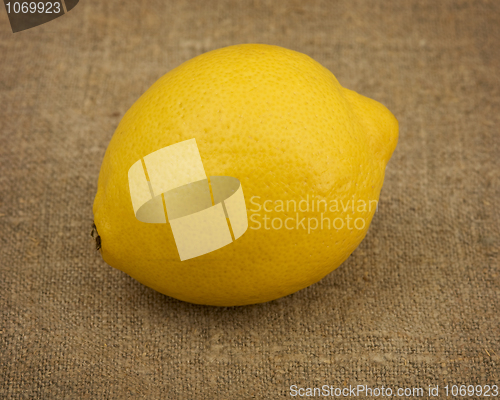 Image of Lemon