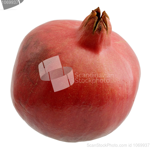 Image of Pomegranate