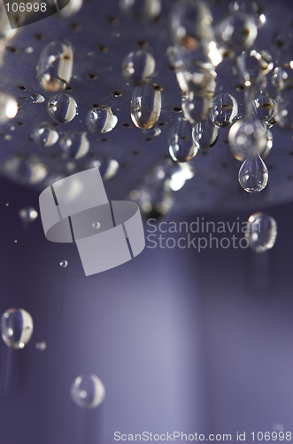 Image of Dripping shower head