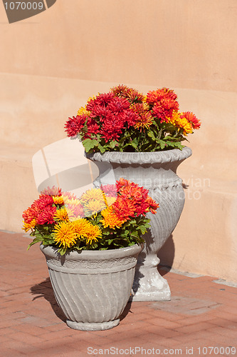 Image of Sidewalk decor