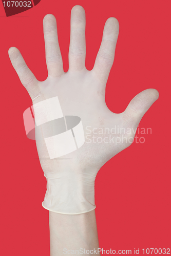 Image of Bristling fingers