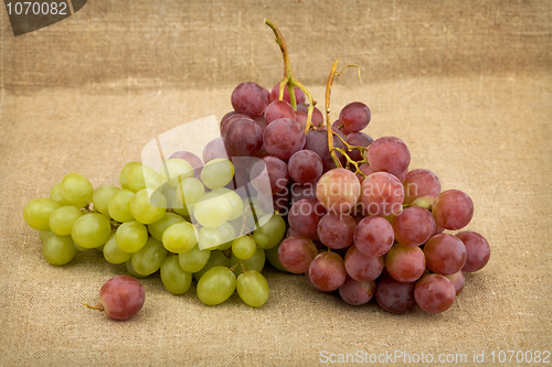 Image of Still life with red and green ripe grapes