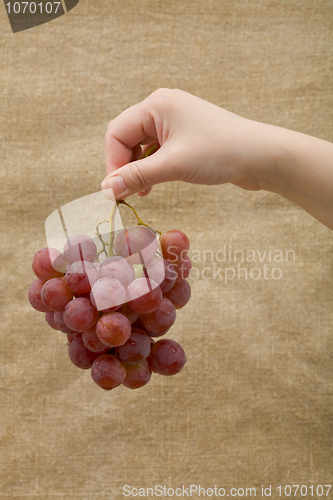 Image of Grapes in hand