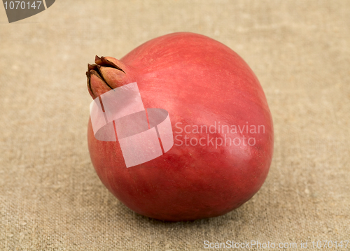 Image of Pomegranate