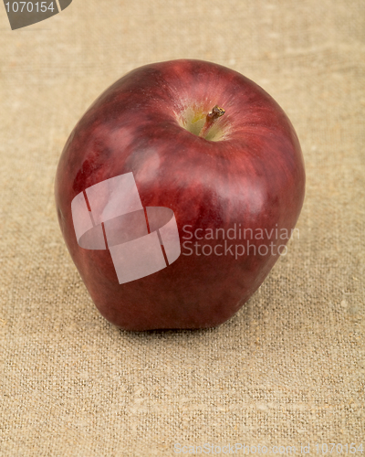 Image of Red apple