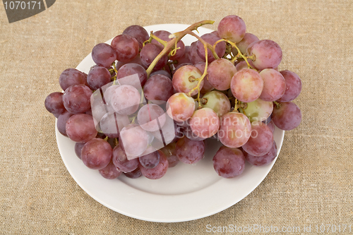 Image of Grapes