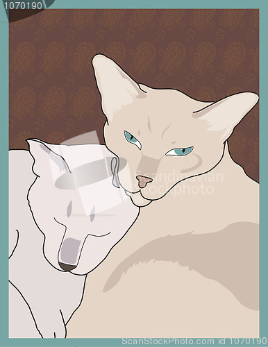 Image of Siamese Cats