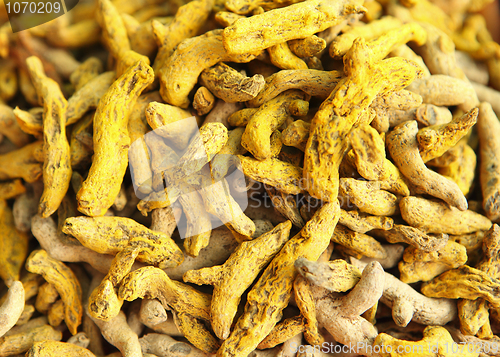 Image of Turmeric roots close-up