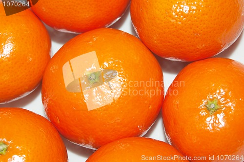 Image of Tangerines