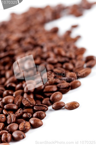 Image of coffee beans 