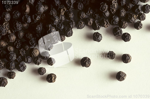 Image of Whole black peppercorns on white