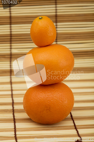 Image of Two mandarin and kumquat