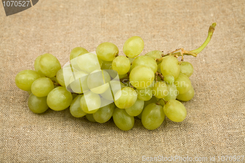 Image of Grapes 