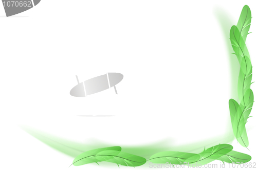 Image of Abstract white -  green feathers background