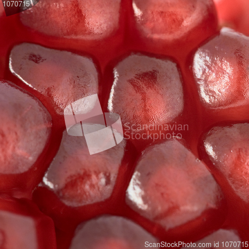 Image of Red grains of pomegranate background