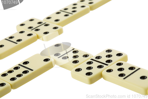 Image of Bones of dominoes