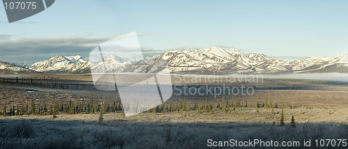 Image of Early spring panoramic landscape in Denali national park