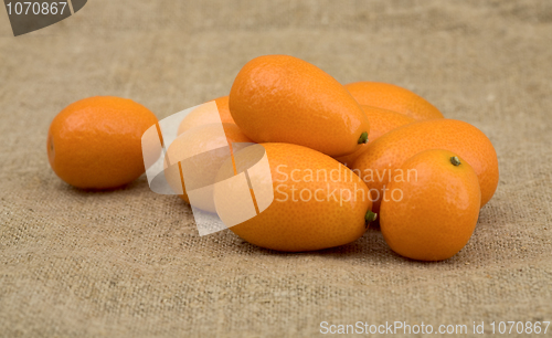 Image of Fresh kumquat 