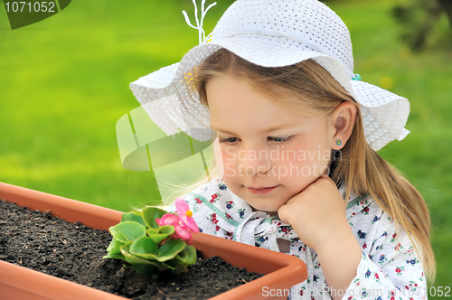 Image of Little girl  - gardening