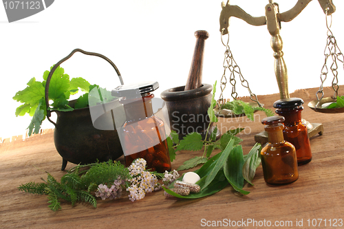 Image of Homeopathy