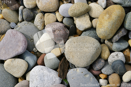 Image of Pebbles