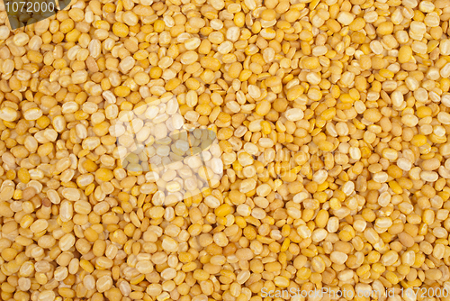 Image of Moong Daal lentils