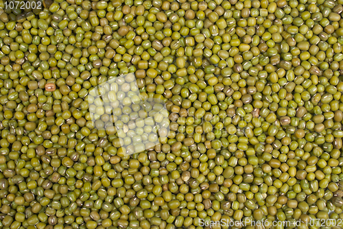 Image of Moong beans
