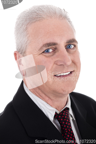 Image of Close up portrait of senior business man