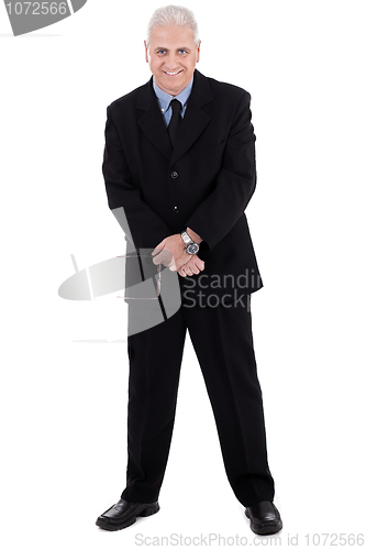 Image of Isolated handsome mature business man standing