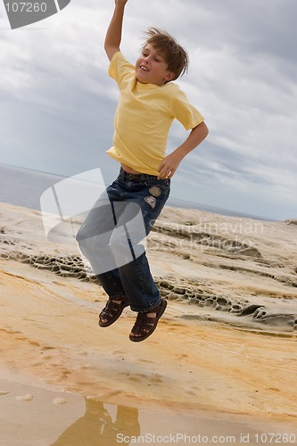 Image of Jump for Joy