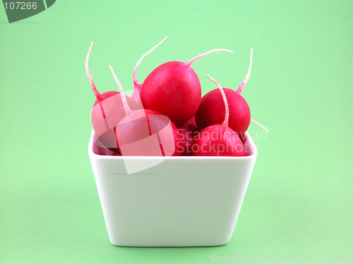 Image of radish