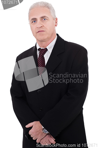 Image of Portrait of grey-haired mature business man